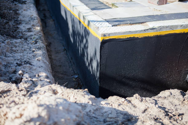 Professional Wet Basement Repair technician working in Ithaca, MI